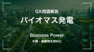 バイオマス発電とは｜木質・廃棄物を燃料に サムネイル