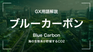 ブルーカーボンとは｜海の生態系が貯留するCO2 サムネイル