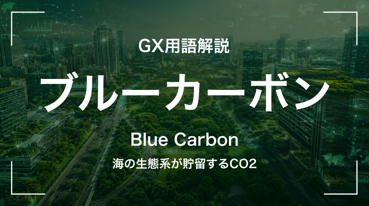 ブルーカーボンとは｜海の生態系が貯留するCO2 サムネイル
