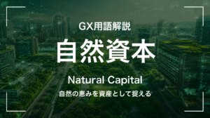 自然資本とは｜自然の恵みを資産として捉える サムネイル
