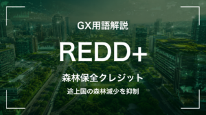 REDD+とは｜途上国の森林減少を抑制 サムネイル